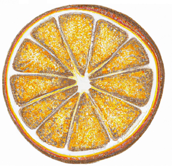 drawing of an orange slice 2