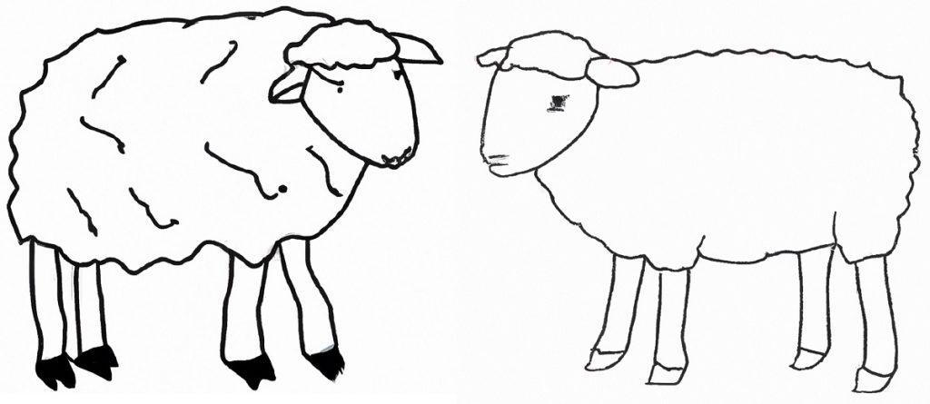 how to draw a basic outline drawing of a sheep