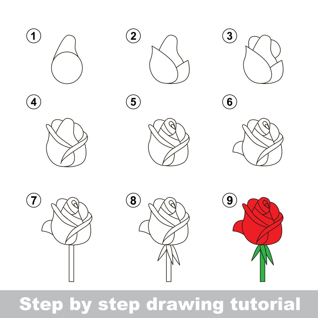 how to draw a rose step by step for kids