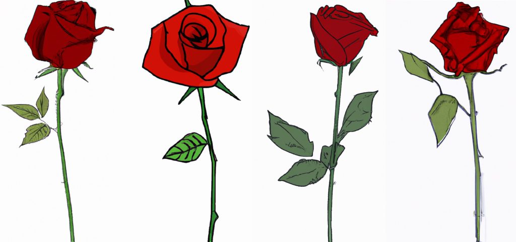 how to draw red roses - 4 red rose drawing examples