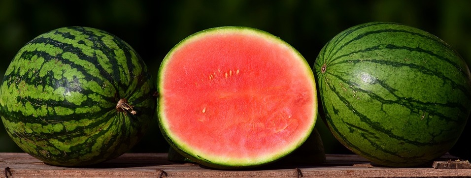pictures of real watermelons as reference for drawing watermelons