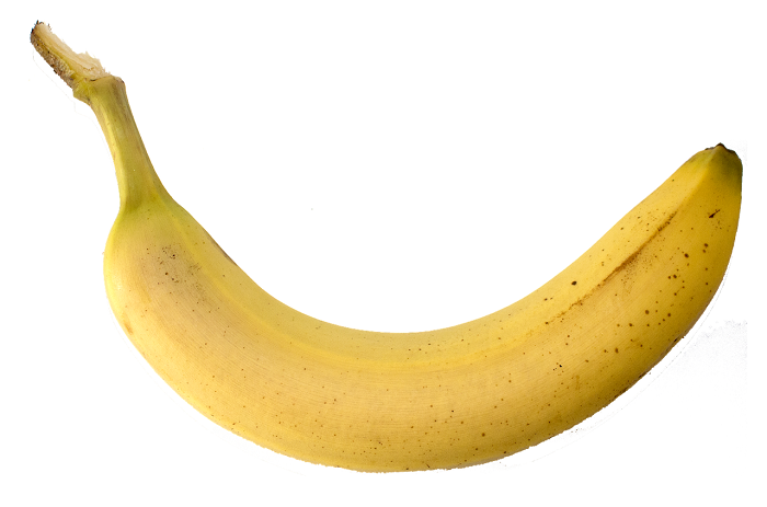 real banana for beginners to reference when drawing a banana