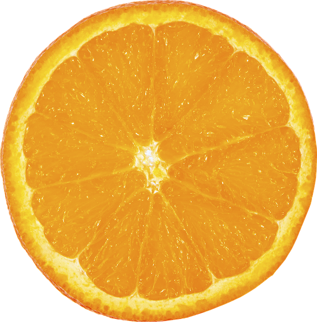 realistic orange slice illustration