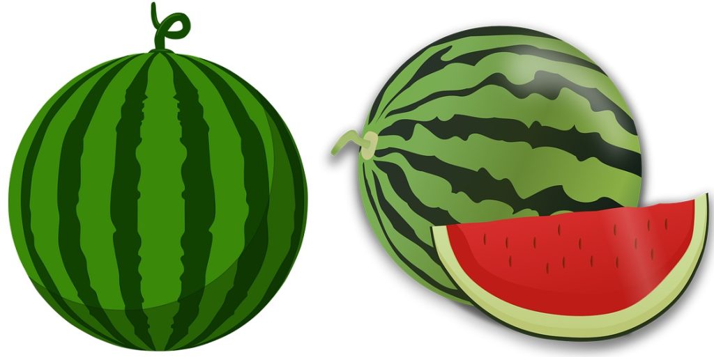 two drawings of whole watermelons you can use to help with watermelon drawing tutorial