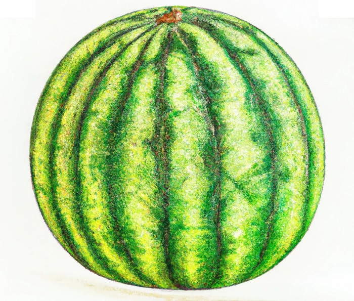 whole watermelon drawing for kids to learn how to draw a watermelon