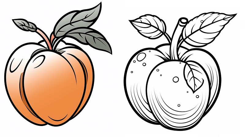 basic peach drawings that can be colored in