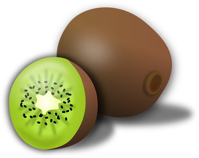 drawing of a kiwi to show kids how to draw a kiwi easy