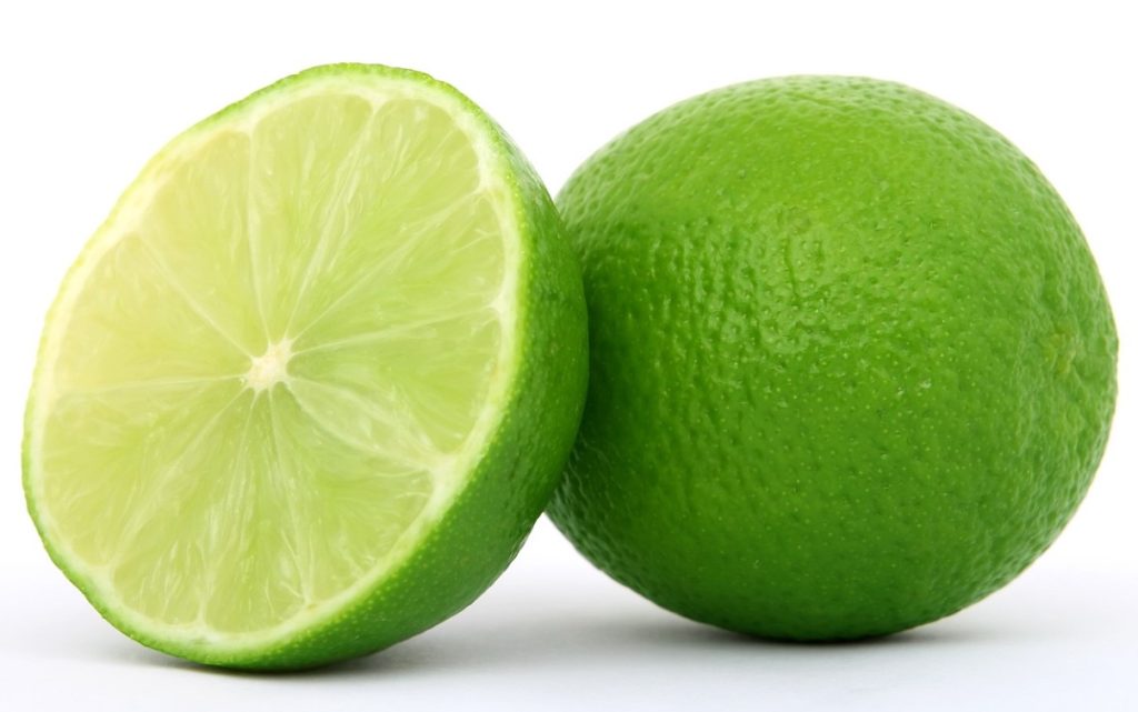 drawing of a lime and a lime slice