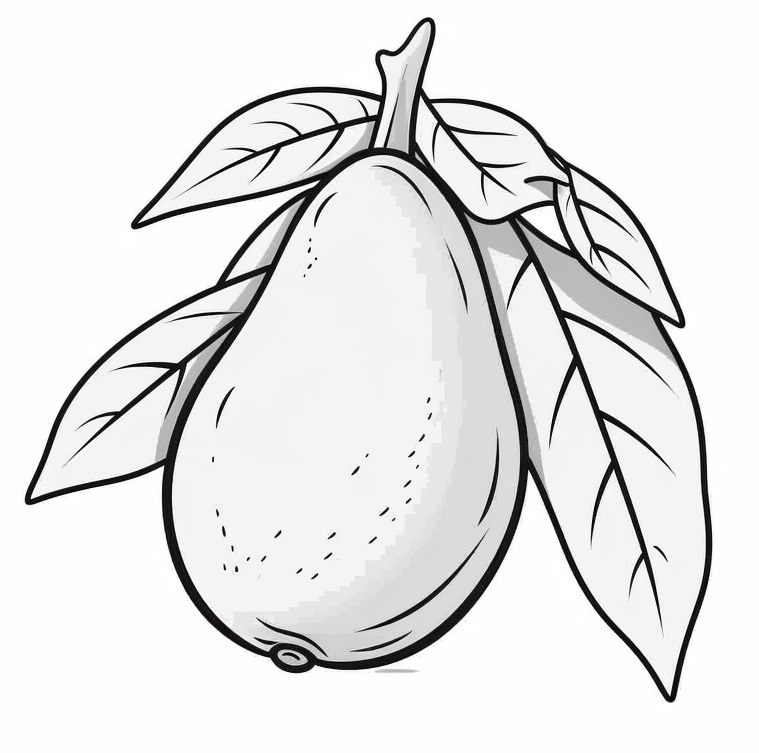 drawing of a mango and mango leaves