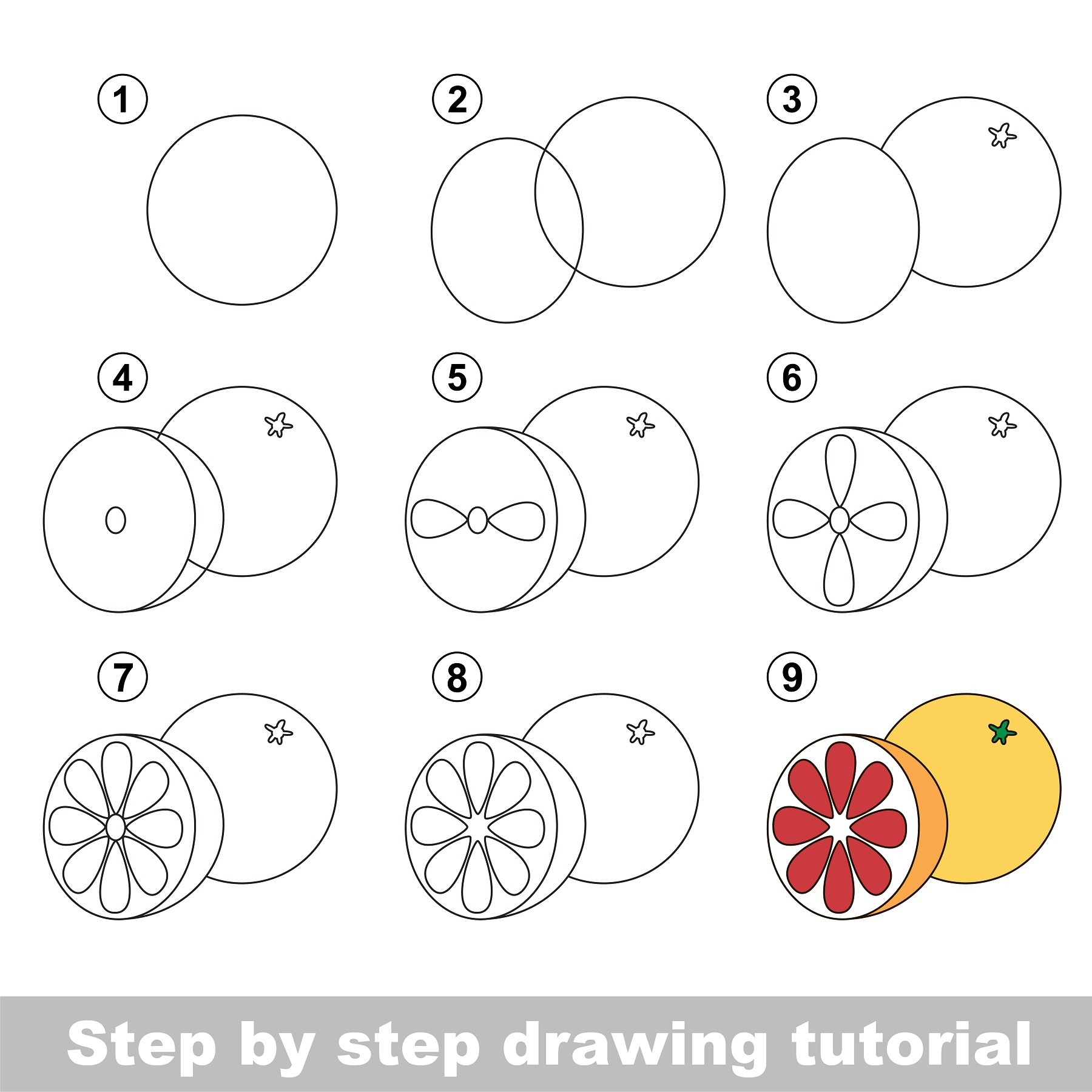 how to draw a grapefruit