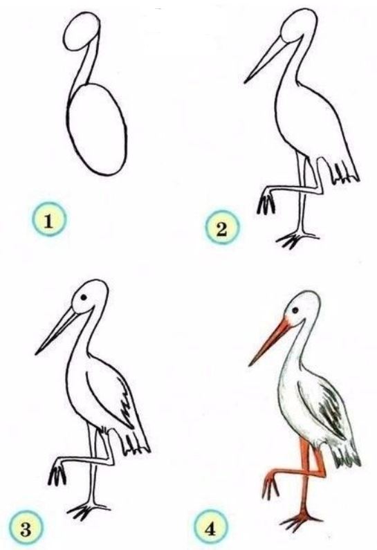 how to draw a heron step by step