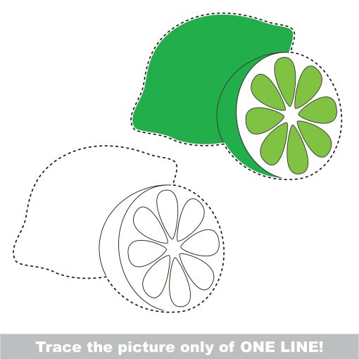how to draw a lime