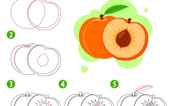 how to draw a peach