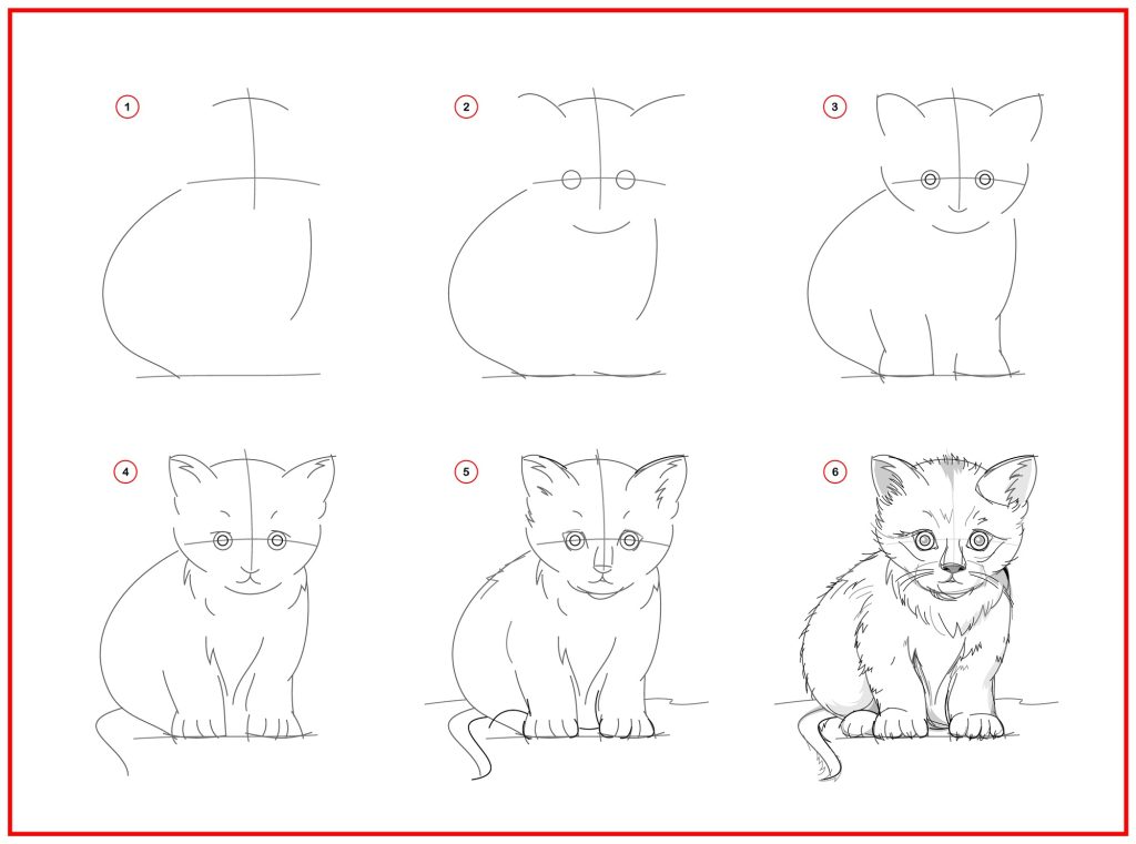 how to draw a seated cat