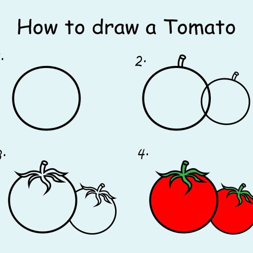 how to draw a tomato step by step