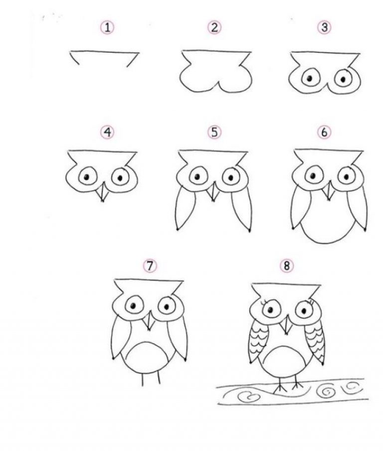 how to draw an owl step by step