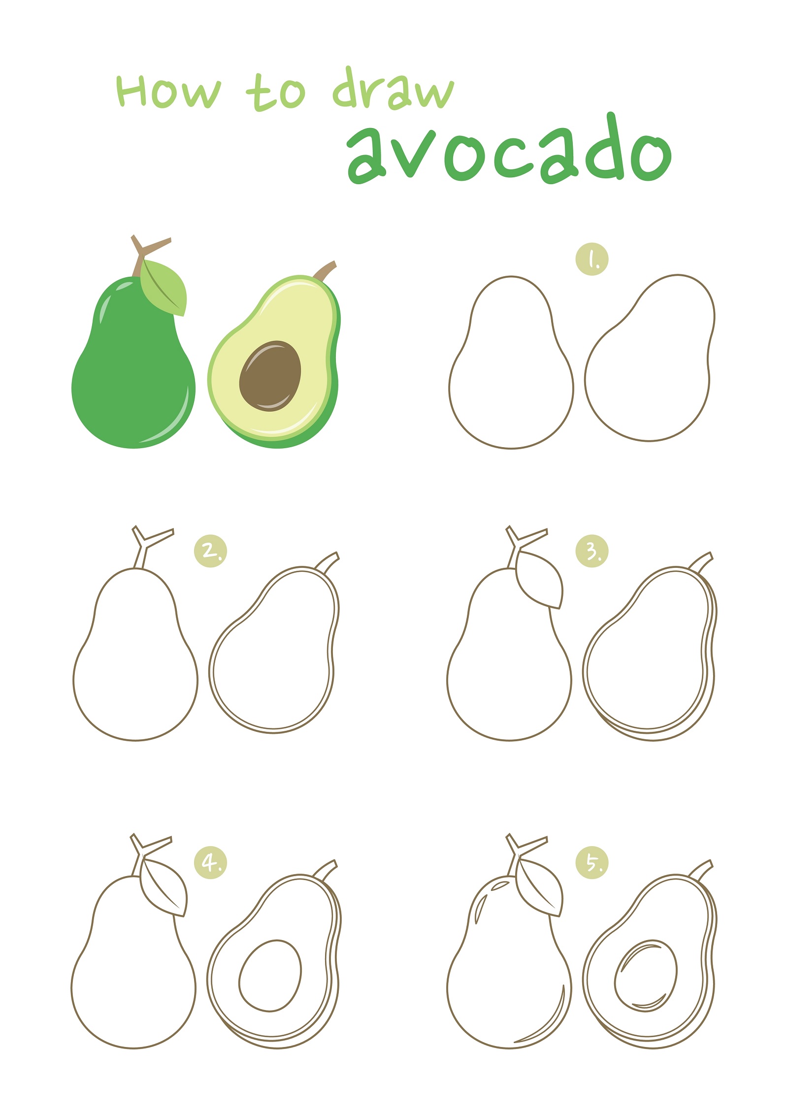 how to draw avocado