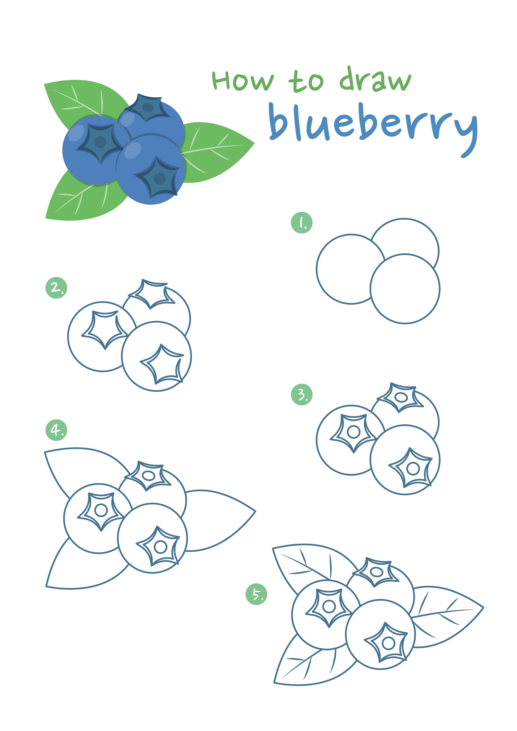 how to draw blueberries - blueberry drawing tutorial