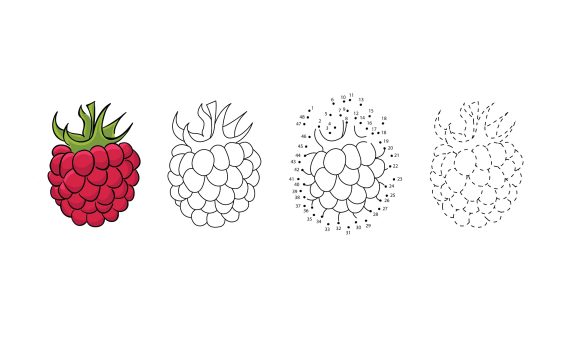 how to draw raspberries step by step