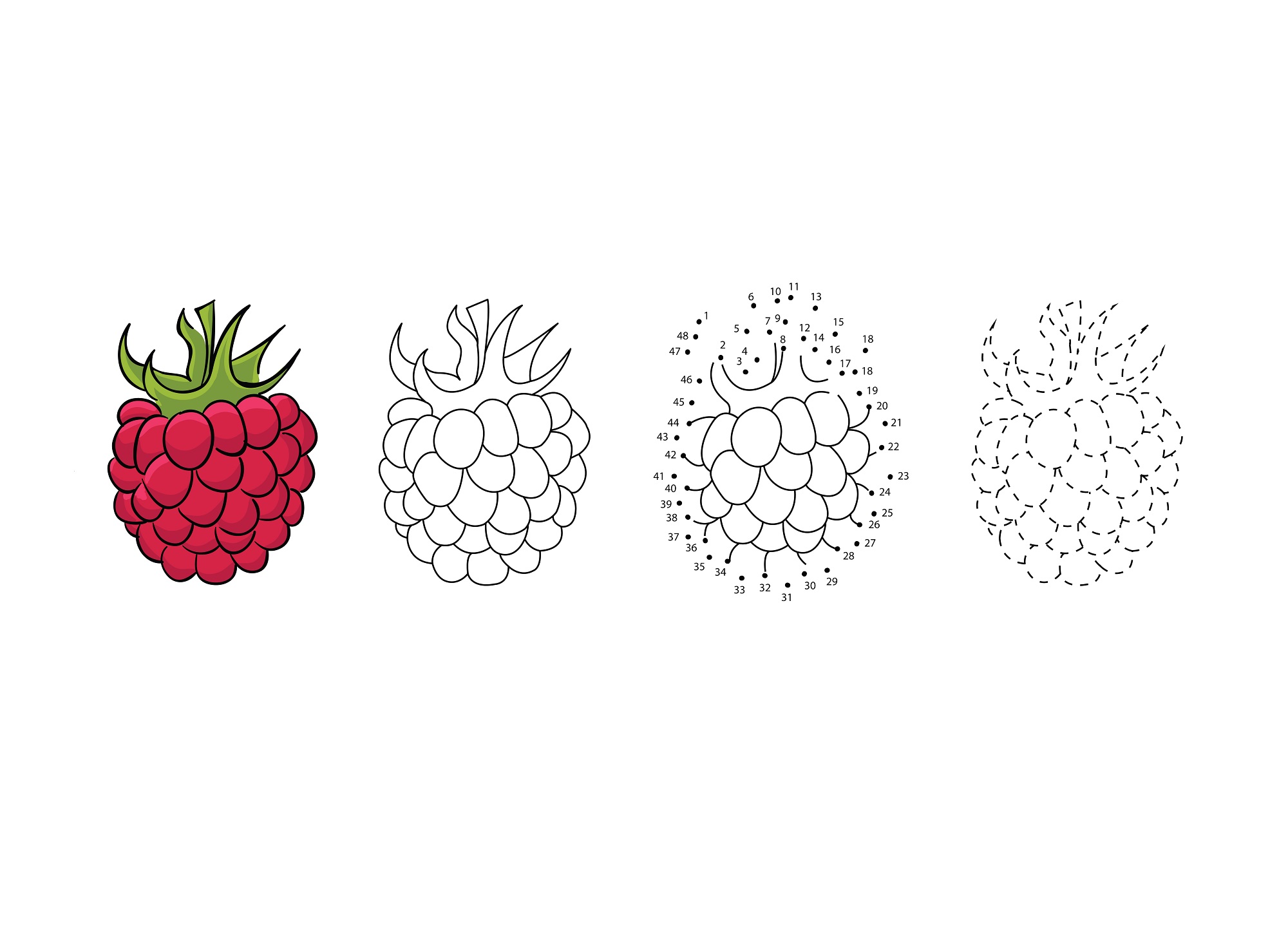 how to draw raspberries step by step