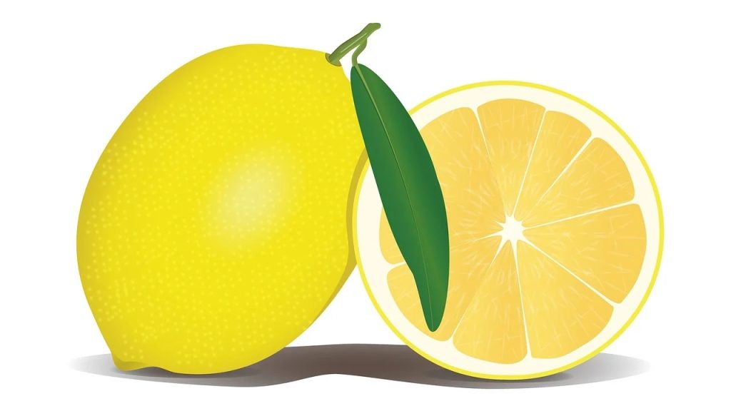lemon drawing and lemon slice drawing