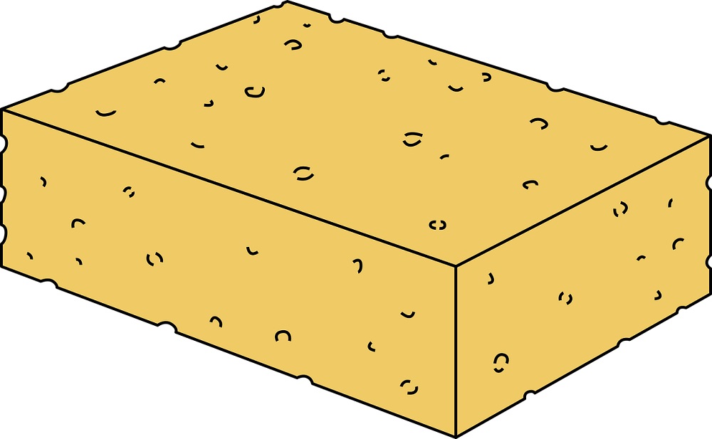 picture of a sponge to reference when teaching kids how to draw a sponge easy