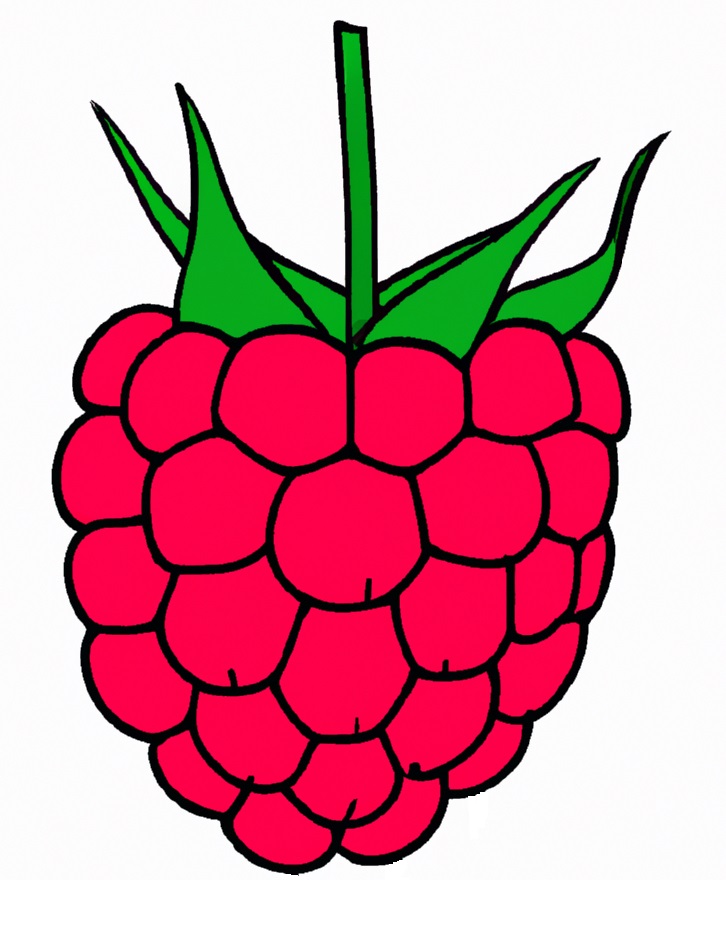 raspberry drawing for kids to reference when learning how to draw raspberries