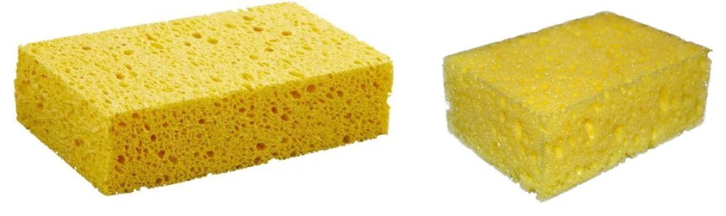 real yellow sponges to reference when following our sponge drawing tutorial