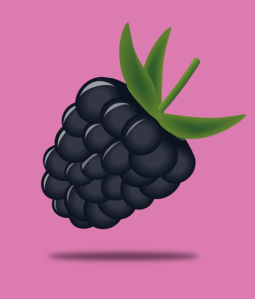 blackberry vector cartoon with pink background