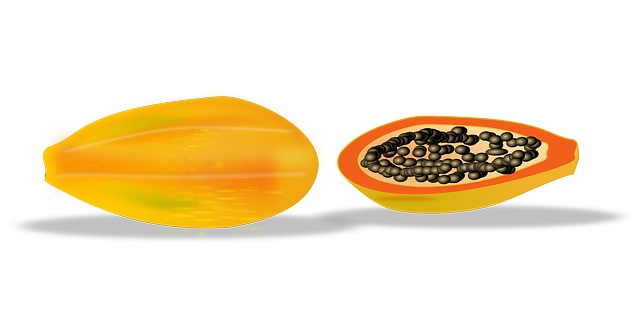 drawing of a whole papaya and a sliced papaya