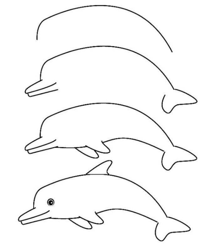 how to draw a dolphin in 4 steps easy