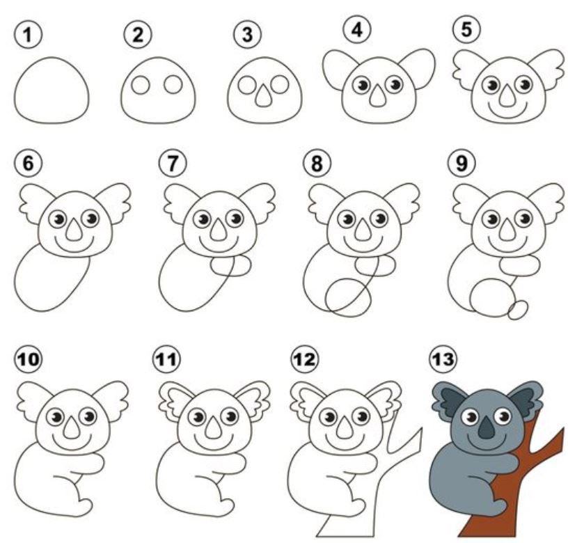 how to draw a koala step by step on a branch
