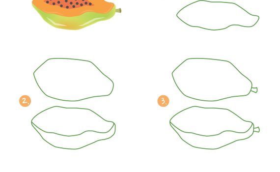 how to draw a papaya
