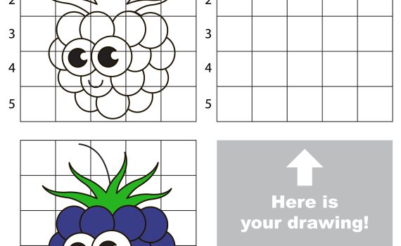 how to draw blackberries