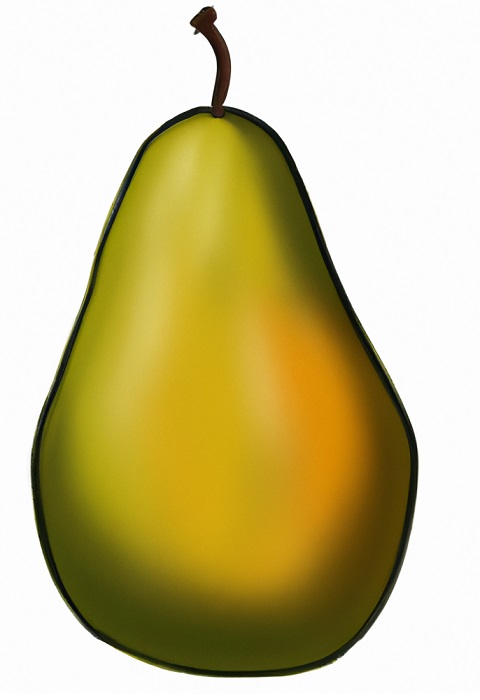 pear drawing
