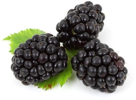 three real blackberries to reference when learning how to draw blackberries
